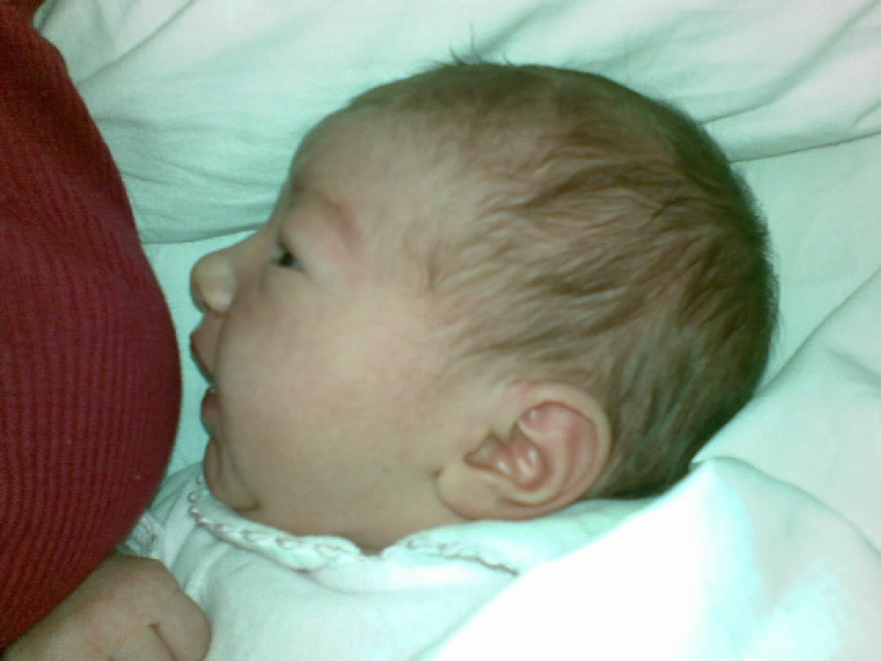 01012009260-001.jpg