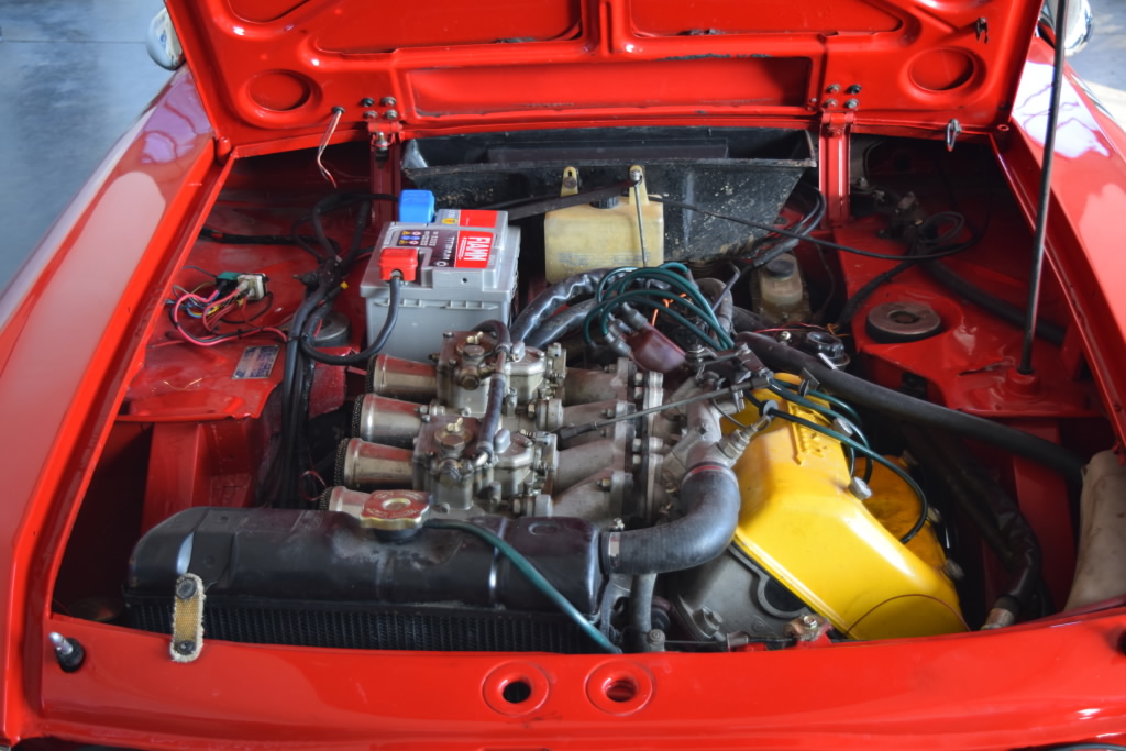 fulvia2.jpg