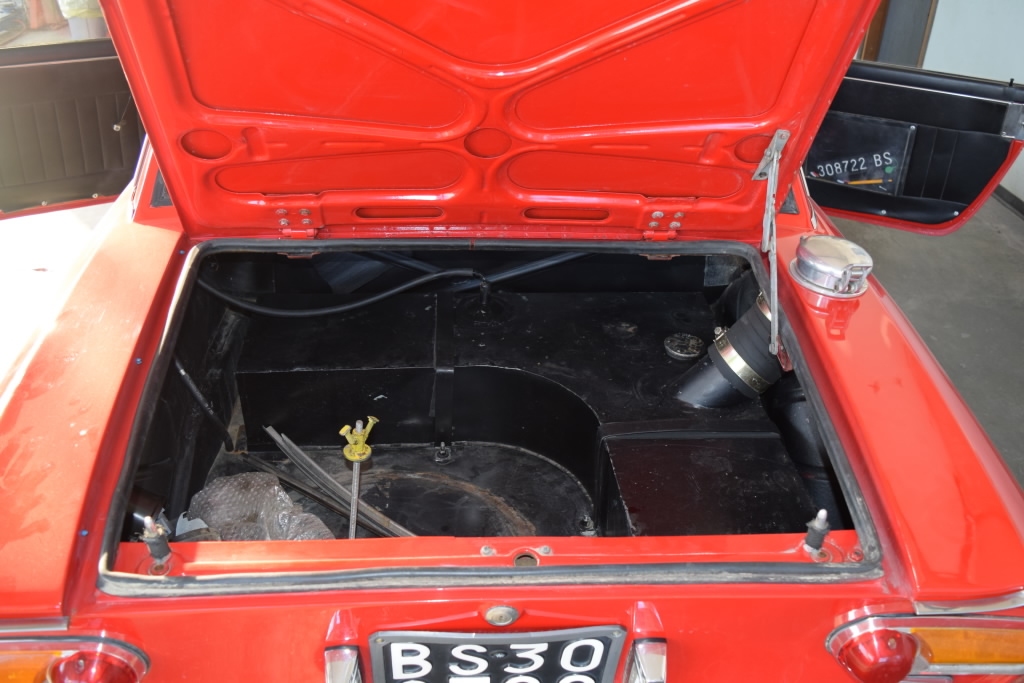 fulvia4.jpg
