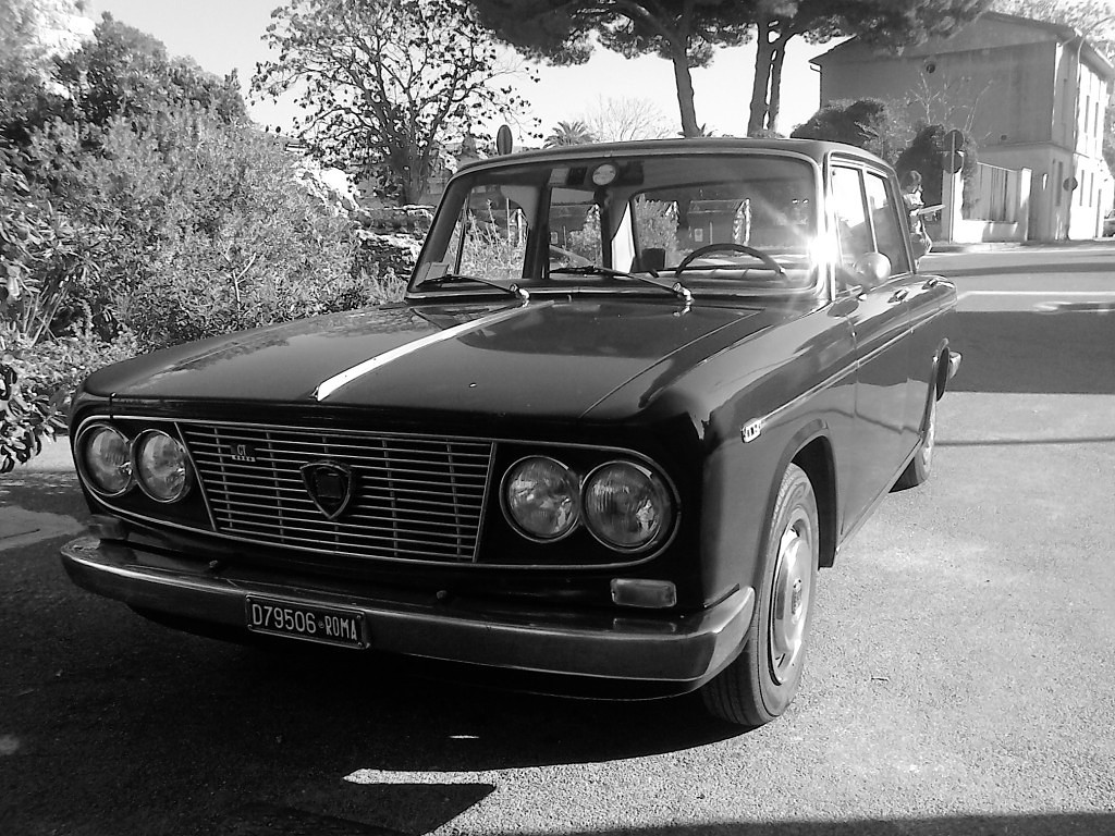 fulvia 2.jpg