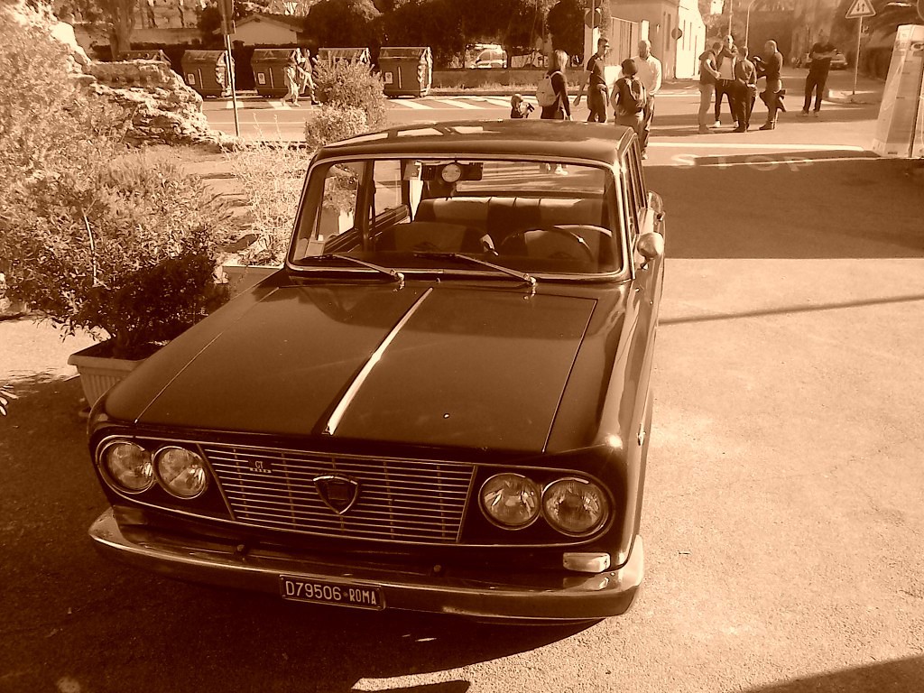 fulvia 8.jpg