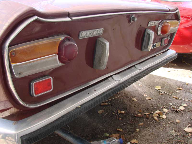 fulvia posteriore.jpg