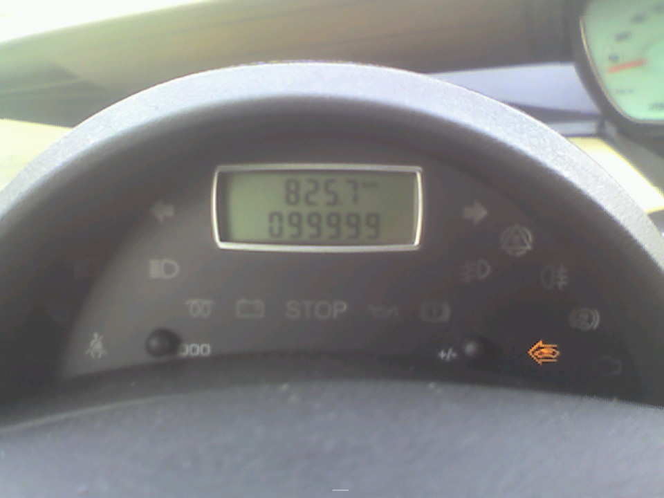 phedra 99999.jpg