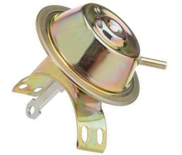 bosch 2.jpg