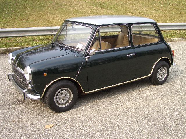 mini 7.jpg