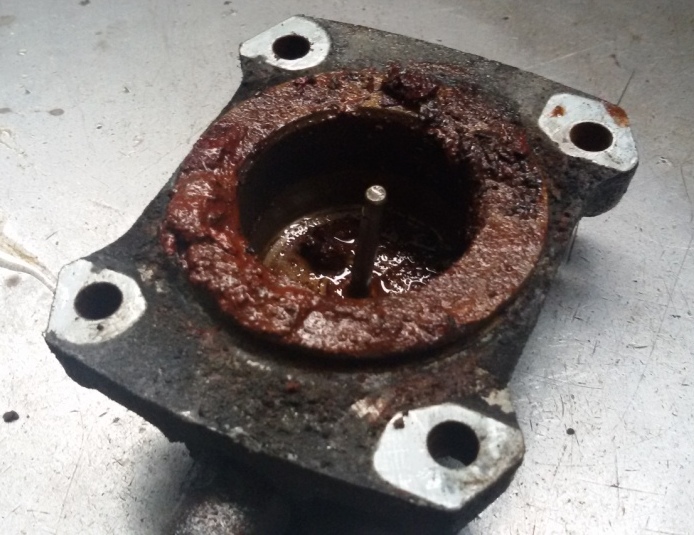 20150527_180219.jpg