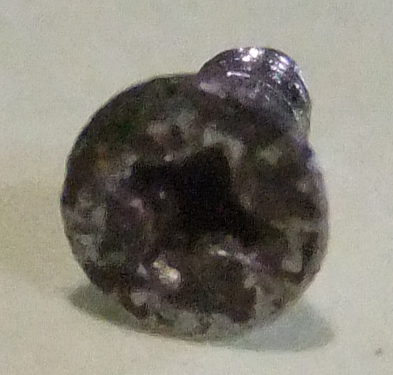 dscf6979s.jpg