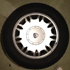 velg thesis.jpg