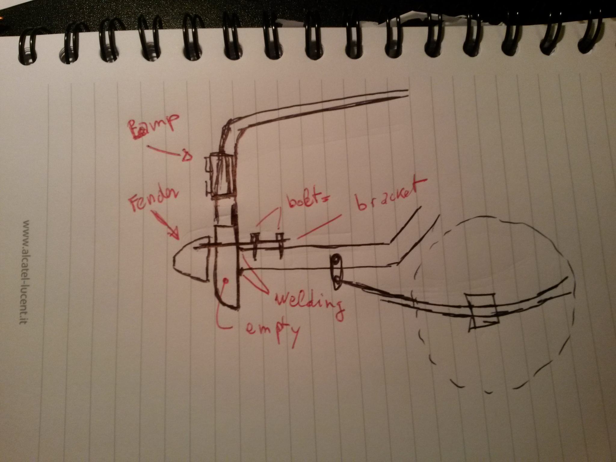 x section flavia.jpg