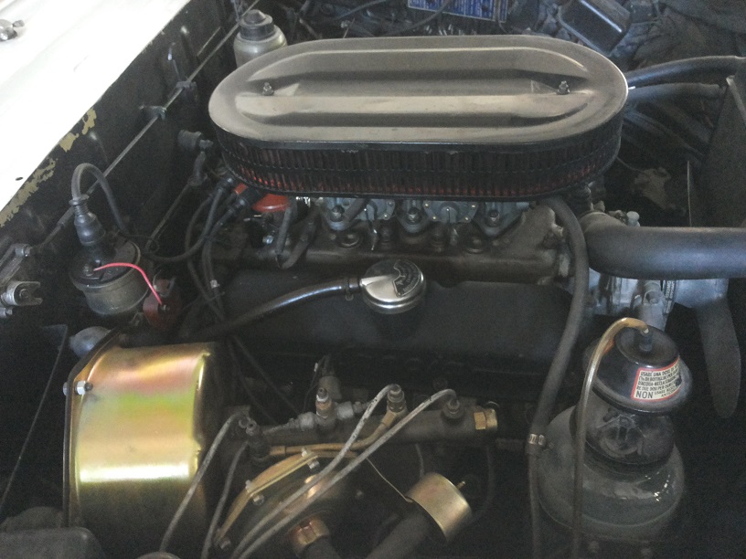 motore.jpg