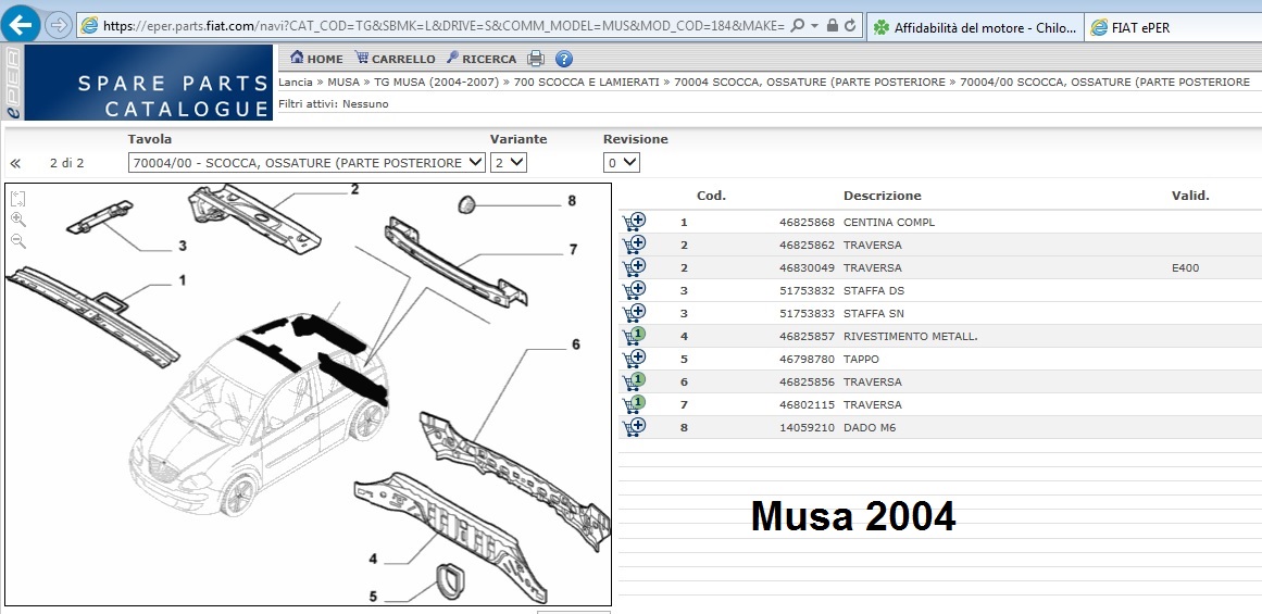 traversa musa 2004.jpg