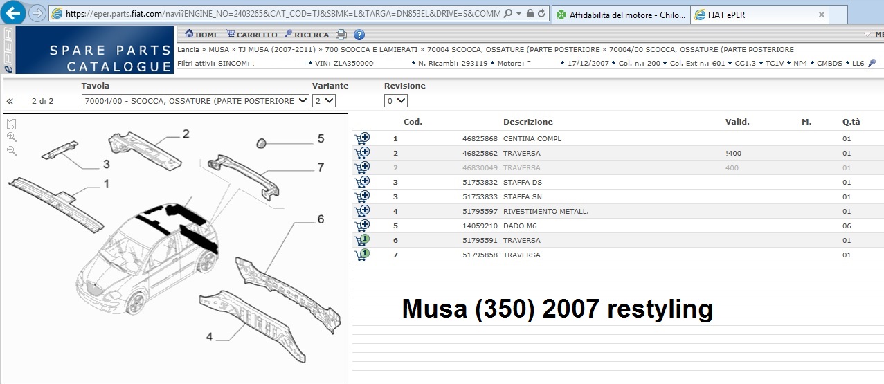 traversa musa 2008.jpg
