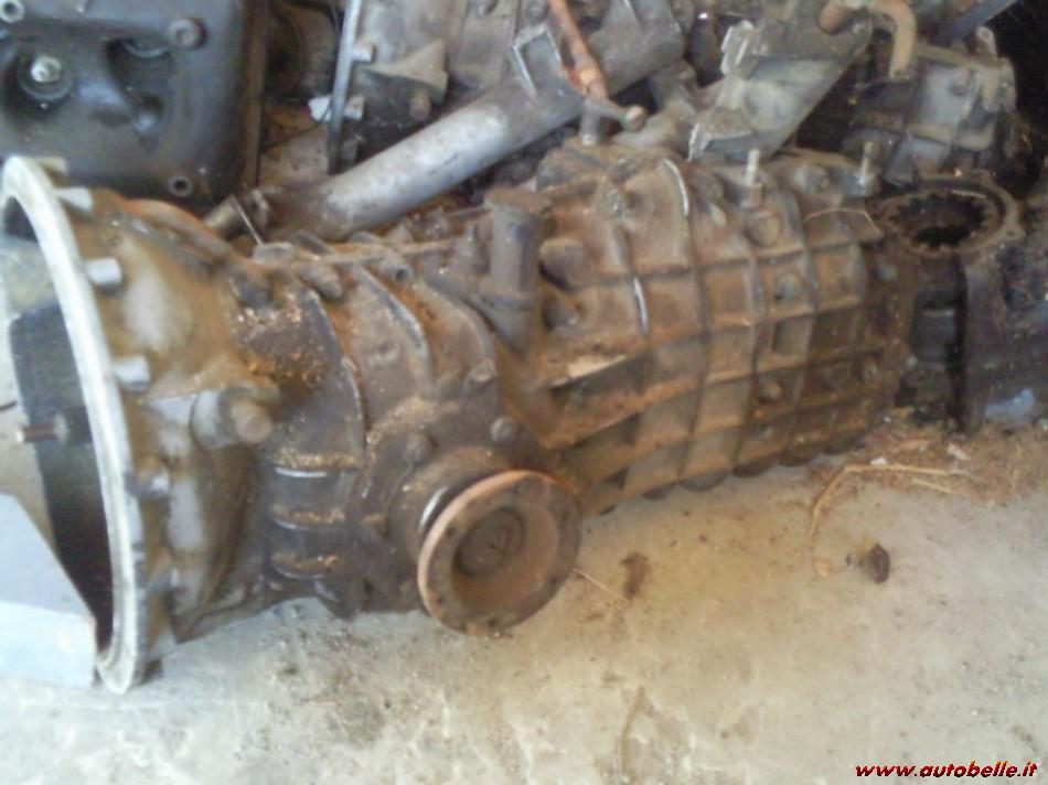 cambio fulvia.jpg