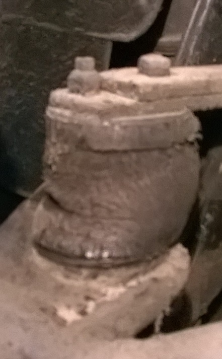tampone1.jpg