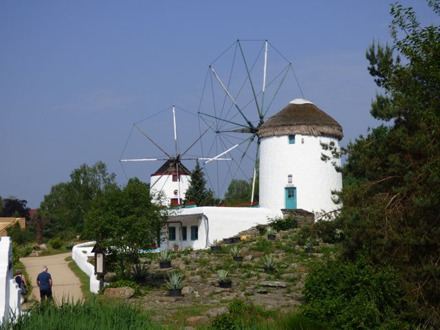 k1010133.jpg