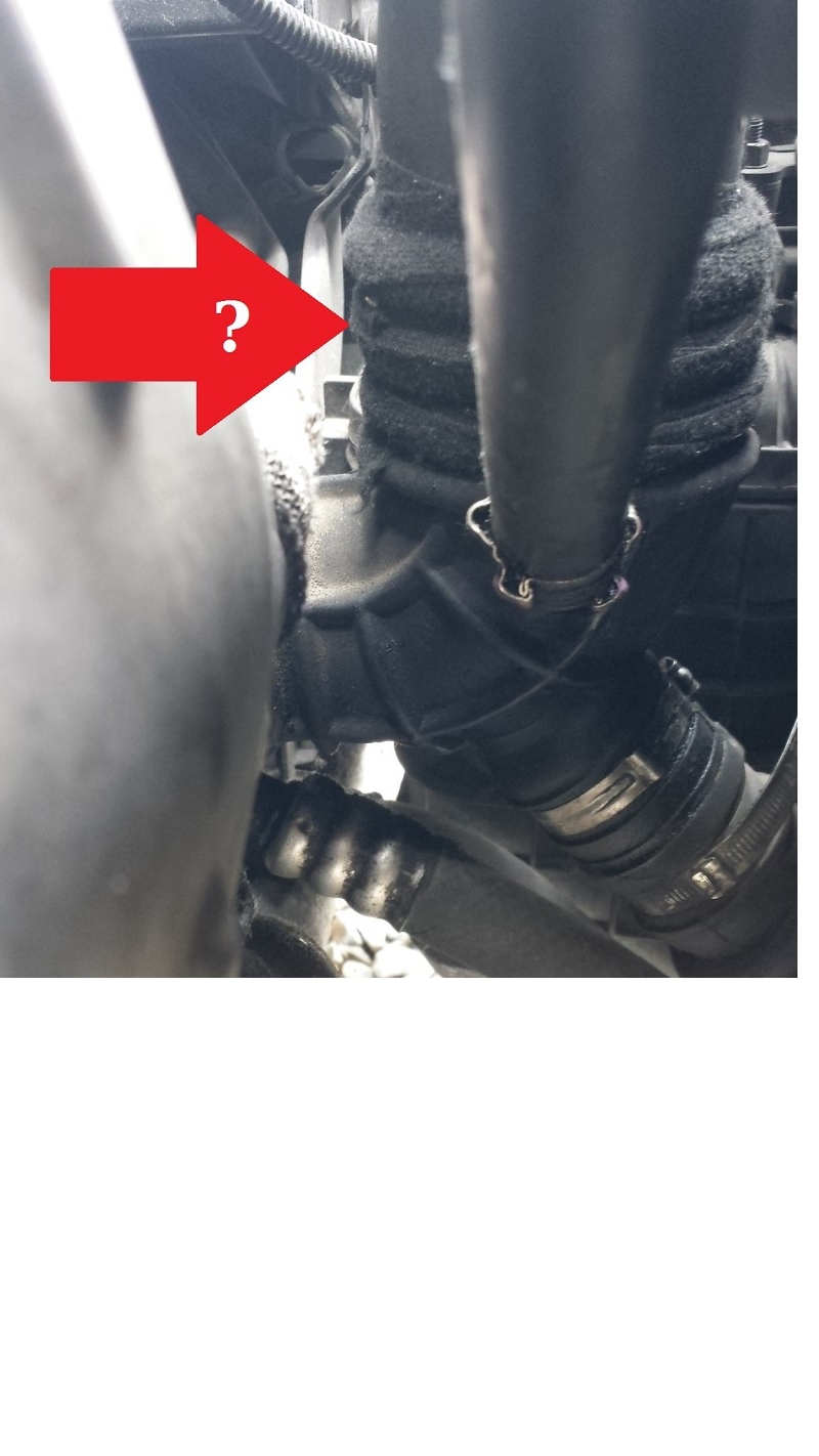manicotto_lybra3.jpg