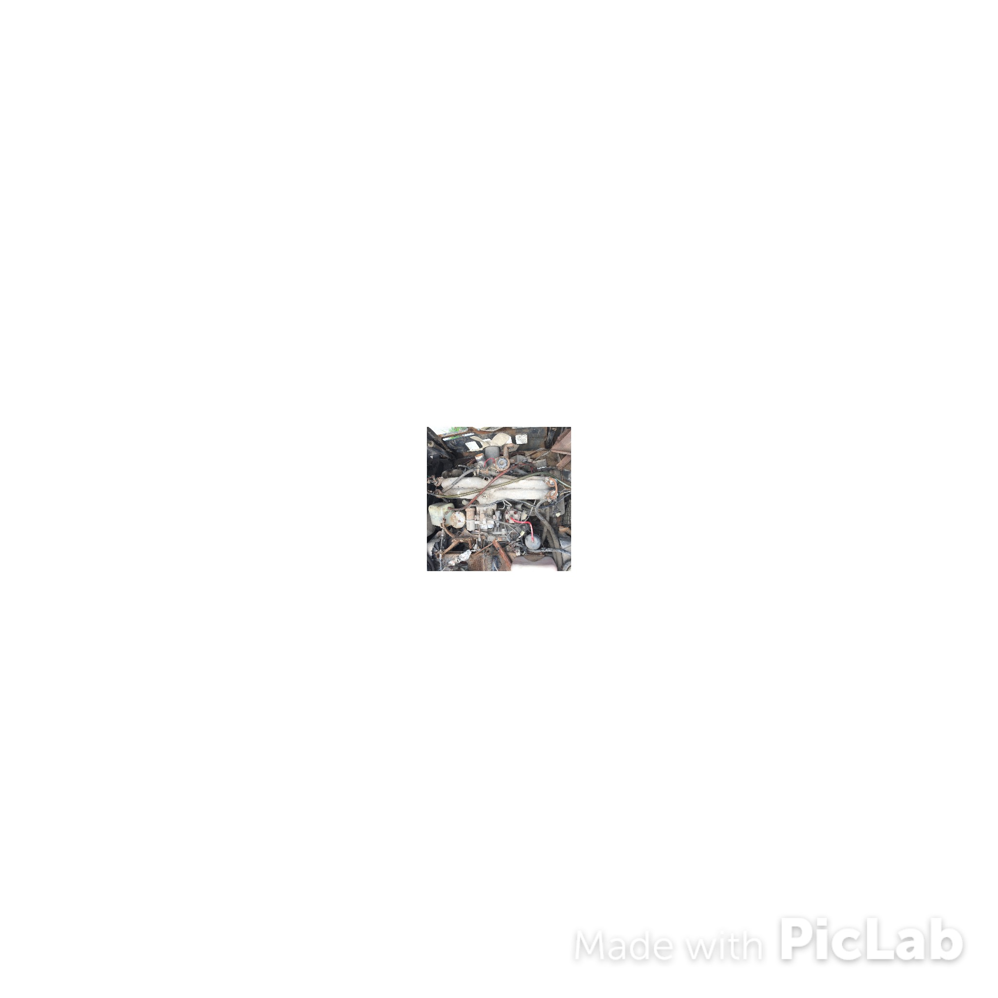 image.jpeg