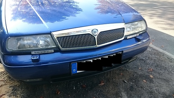 tagfahrlicht2.jpg