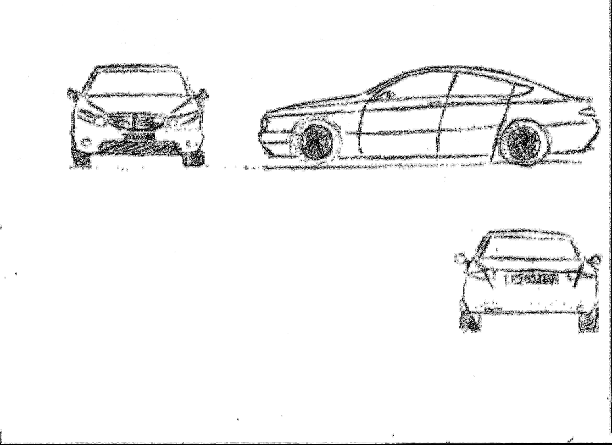 fulvia 2016.jpg