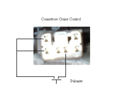 cruise home made.jpg