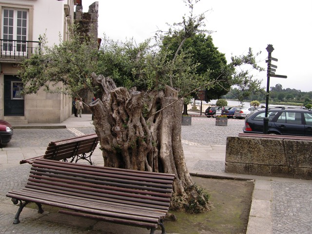 ponte_de_lima004.jpg