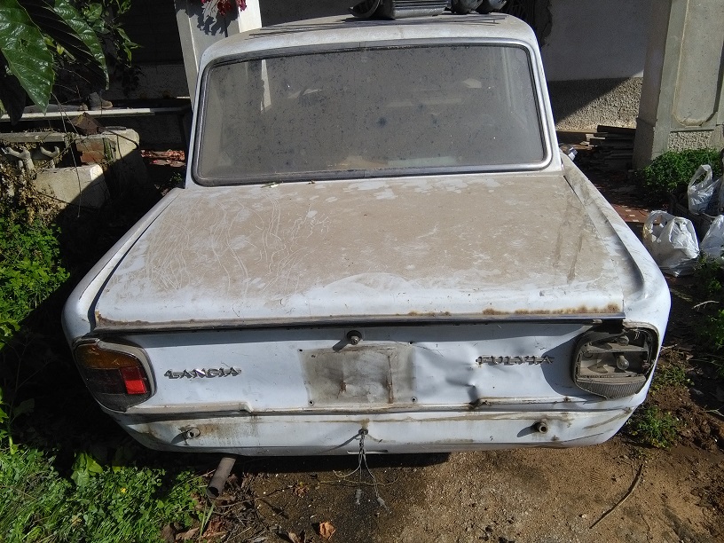 fulvia2.jpg