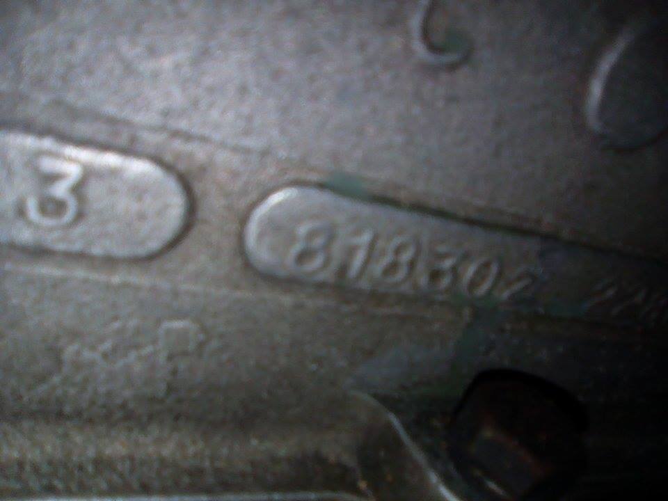 testatona.jpg