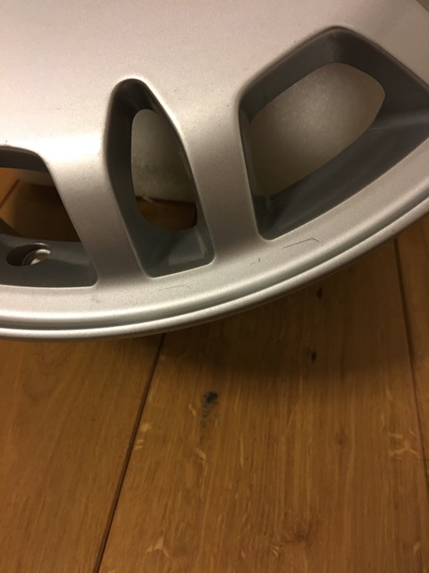 img_5101.jpeg