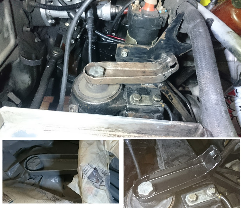 fulvia4.jpg