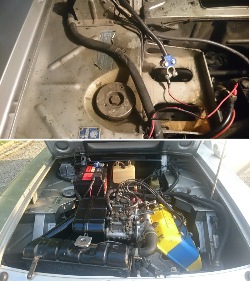 fulvia8.jpg