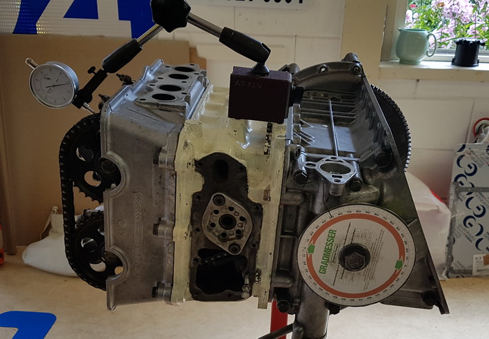 kleptiming fulvia.jpg