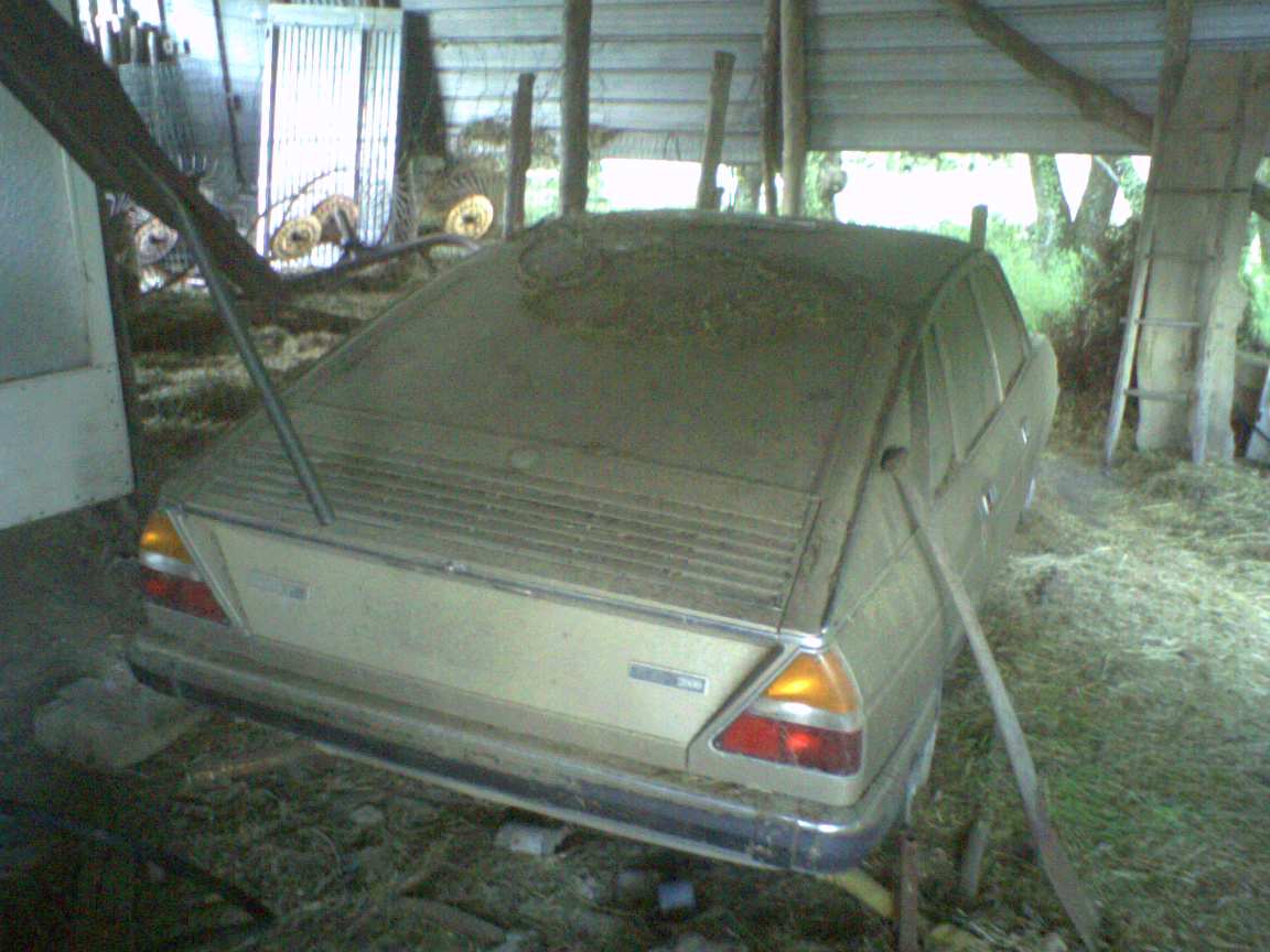 foto0009.jpg