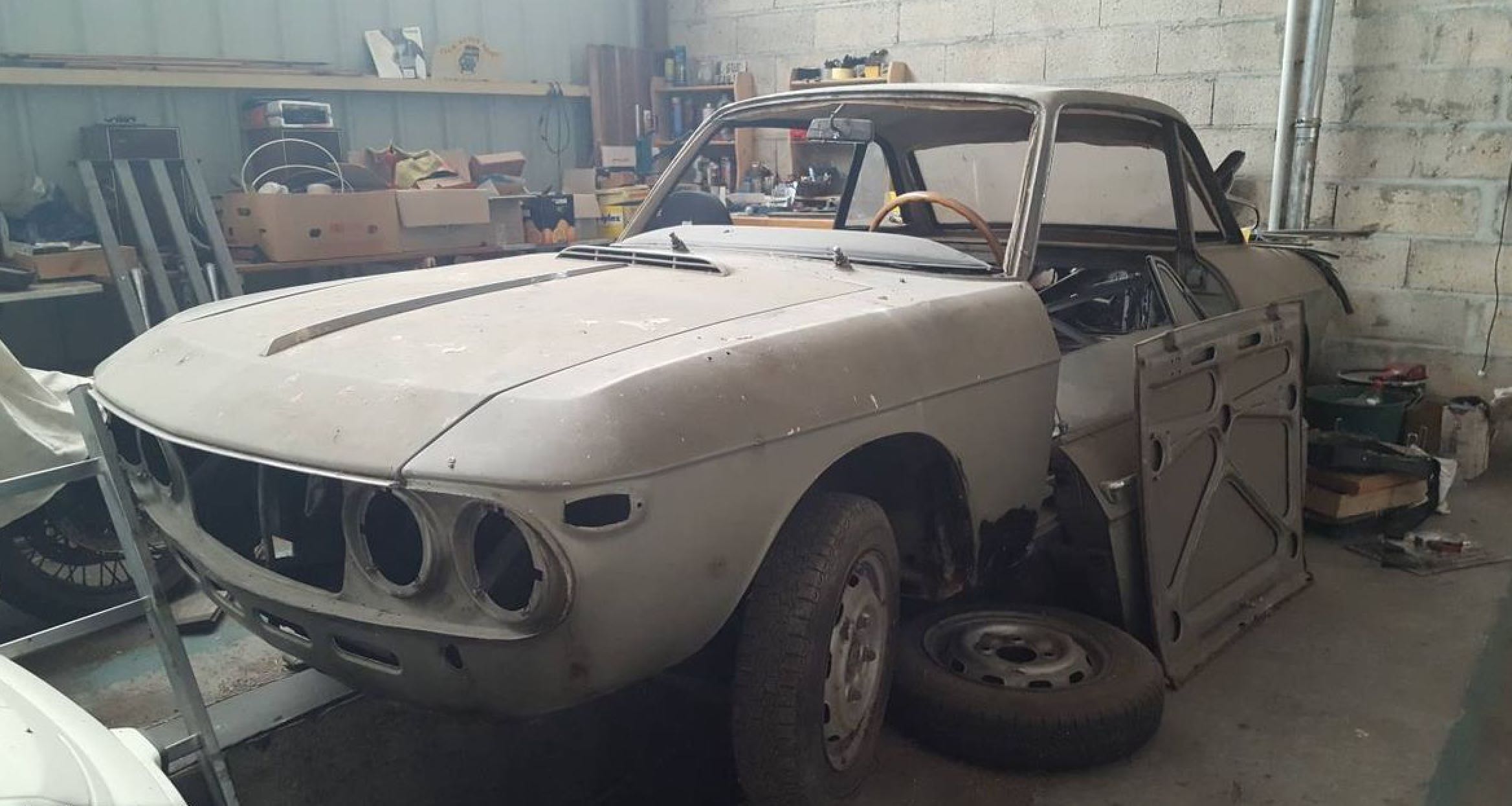 fulvia.jpg