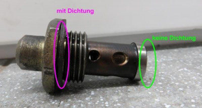 DBV_Fulvia_4.jpg