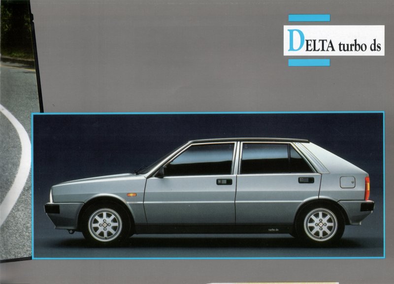 d17.jpg