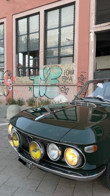 fulvia 6.jpg