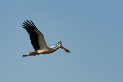 DSC_4952.jpg