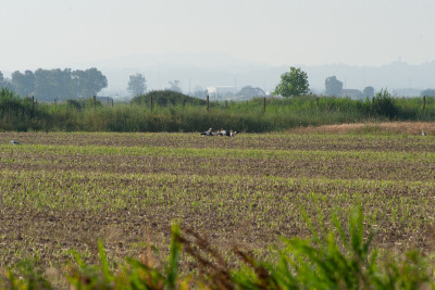 DSC_4939.jpg
