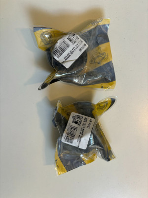 Gummibuchsen.jpeg