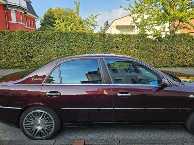 c8.jpg