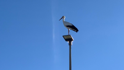 IMG_5178.jpg