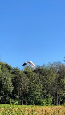 IMG_5182.jpg
