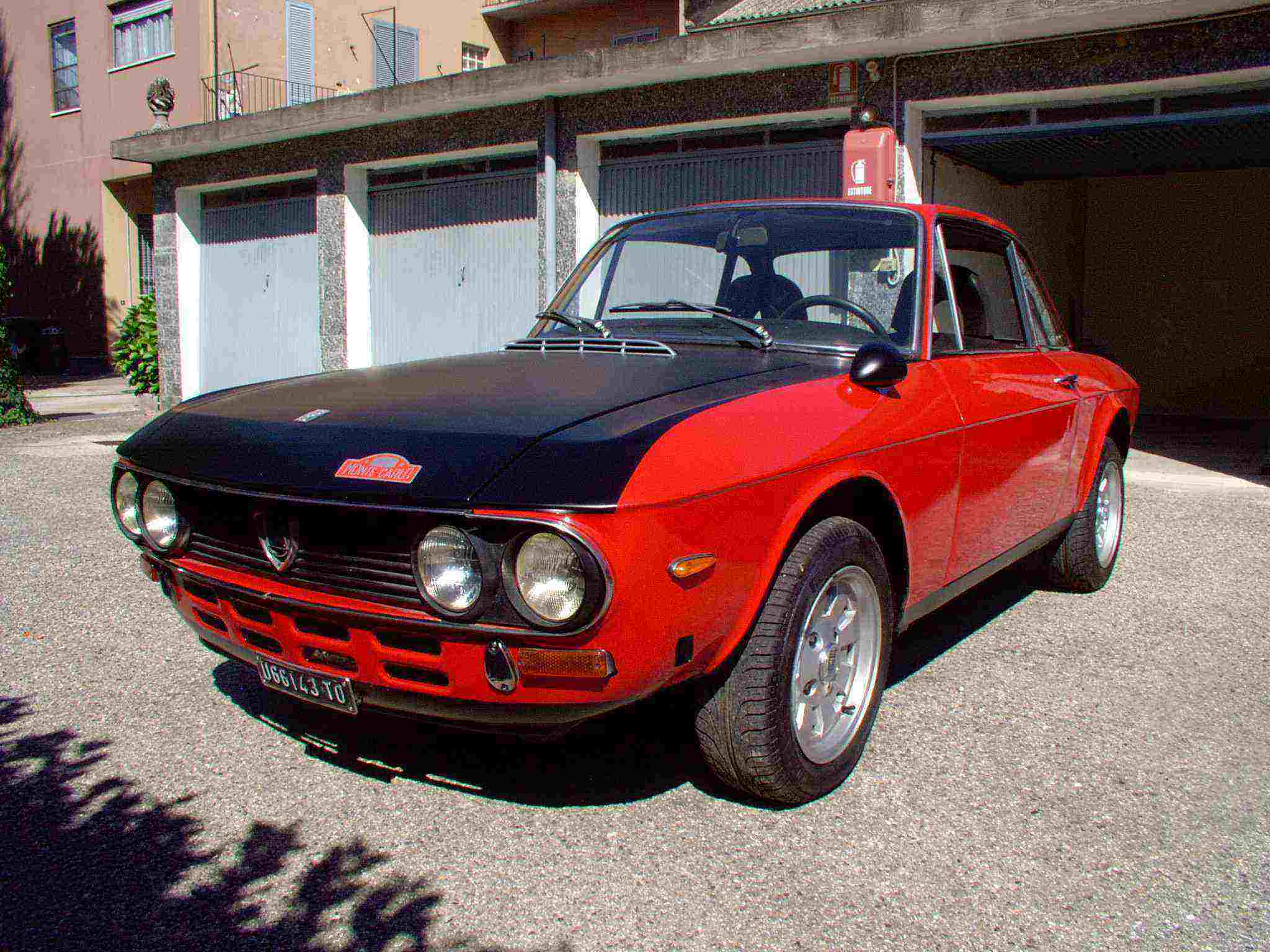 fulvia.jpg