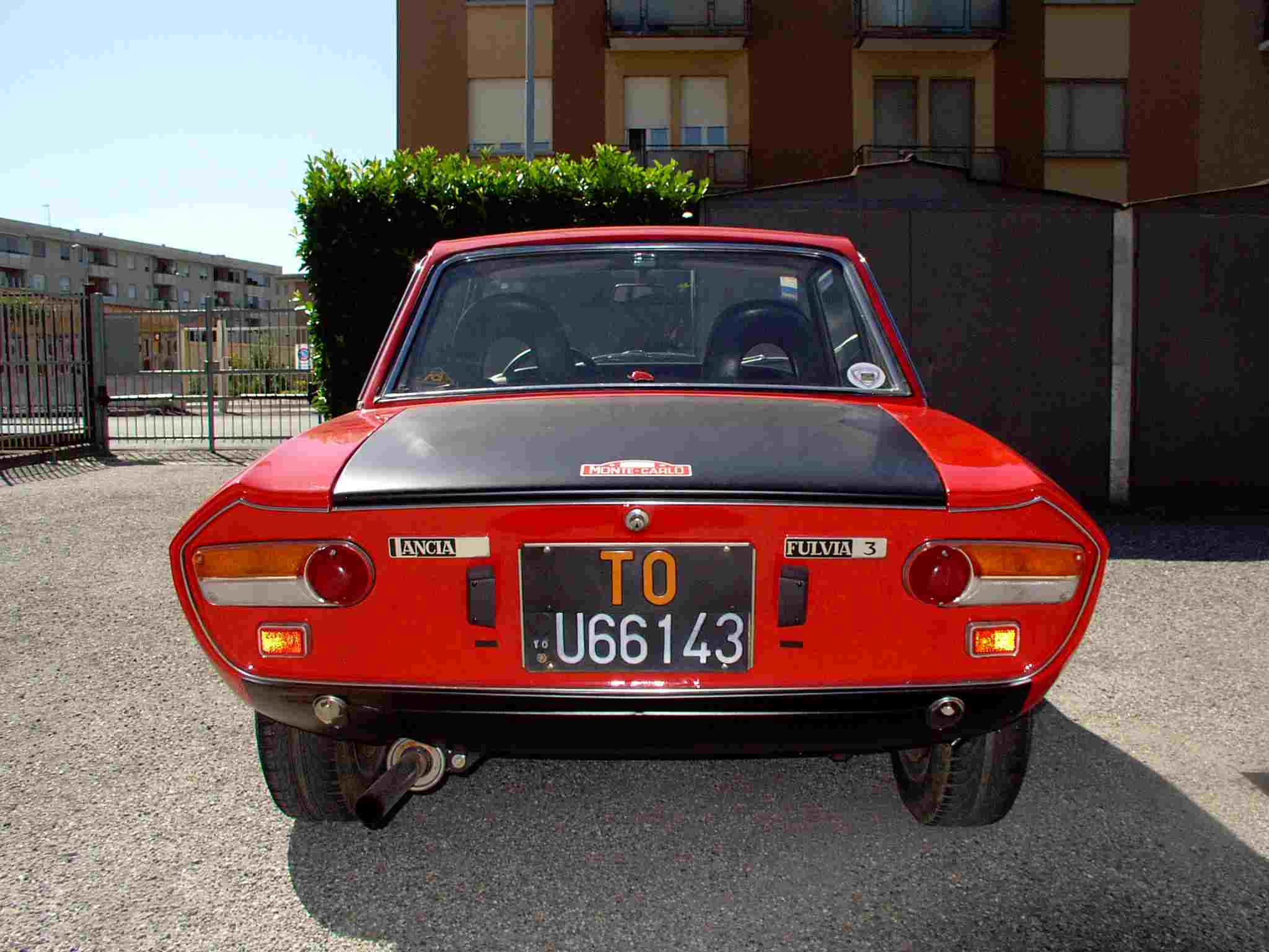 fulvia1.jpg