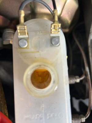 WhatsApp Image 2026-04-10 at 18.04.19.jpeg