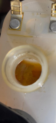 WhatsApp Image 2026-04-10 at 18.29.05.jpeg