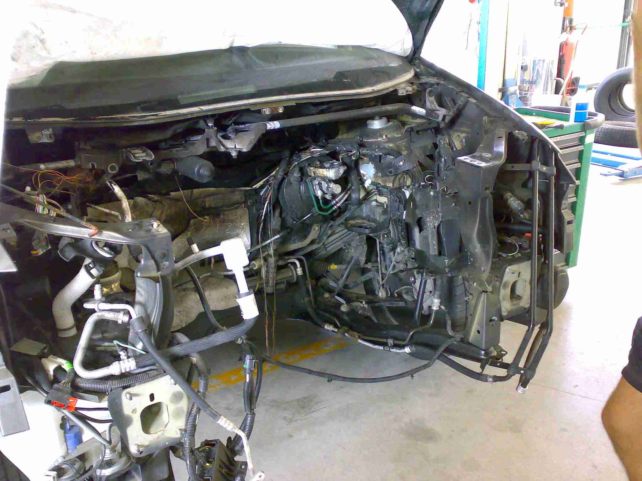 foto1.jpg