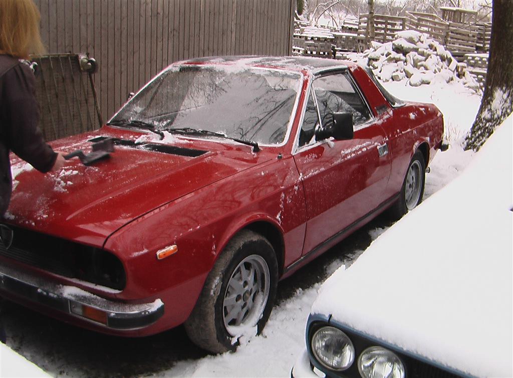 winter spider 011 (large).jpg