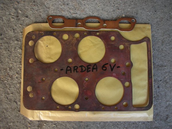 testa ardea 6v.jpg