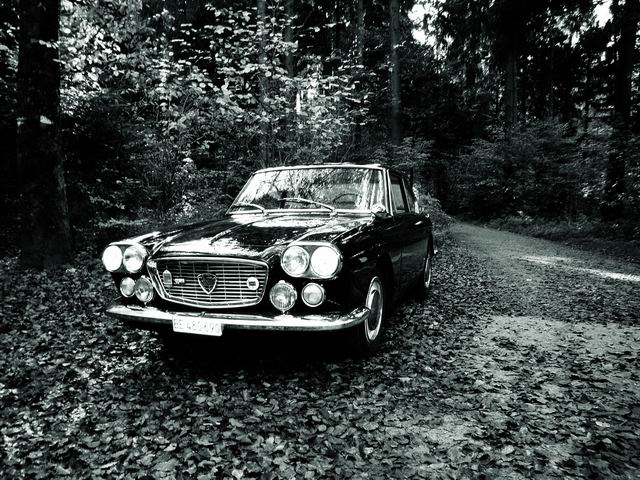 flavia02.jpg